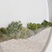 Kim Fisher, Circular Planters, interior design, wallhanging planters, vertical gardens, garden design, flower design, indoor garden creation, round planters, transparent planters, green planters, diy gardens, interior gardens, wall terrariums